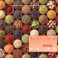 Banda de Música da Força Aérea Portuguesa - Spices
