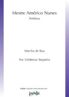 Mestre Américo Nunes